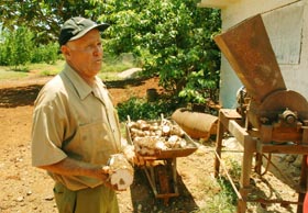 Carlos Martín, como un verdadero campeón en la producción de alimento porcino, ha creado sus mecanismos y lo aprovecha todo. Foto: Arnaldo Santos