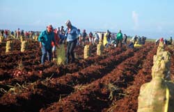 Foto: Yordanka Almaguer