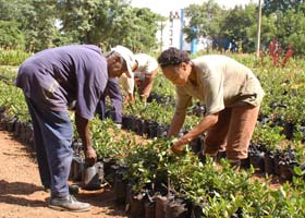 Fotos: Ismael Batista