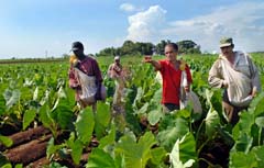  Foto: Jorge Luis Gonz�lez