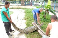  Fotos: Orlando Dur�n Hern�ndez