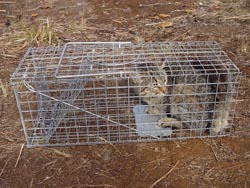 Foto: Gerardo Vegu Quiala