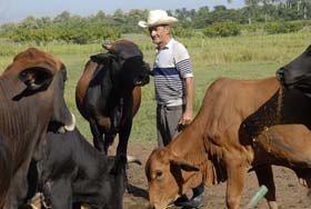 Fotos: Vicente Brito y Oscar Alfonso