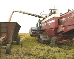 Foto: Jorge Luis T�llez