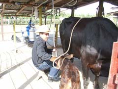 Foto: Juan Carlos Dorado 