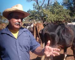 Foto del autor 