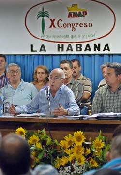 Foto: Otmaro Rodríguez