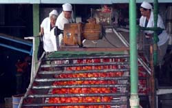 Fotos: Ronald Su�rez Rivas