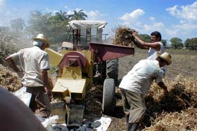 Fotos: Cortes�a de la Estaci�n de Granos de Velasco