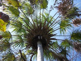 Fotos: Modesto Guti�rrez