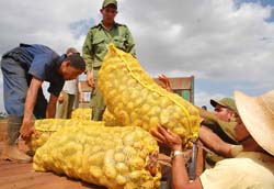 Foto: Otmaro Rodr�guez