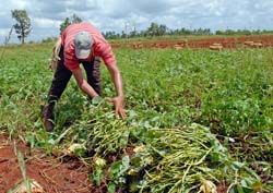  Foto: Jorge Luis Gonzlez 