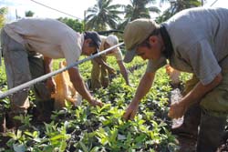 Foto: Otmaro Rodrguez