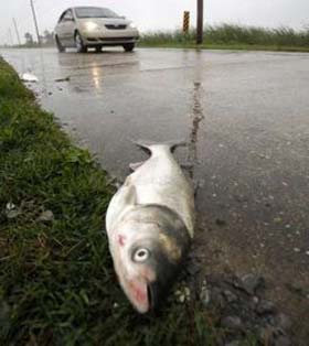Foto: Reuters