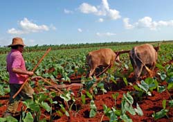 Fotos: Jorge Luis Gonz�lez