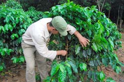 Foto: Boris F. Ati�nzar