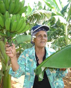 Foto: Jorge Luis T�llez 