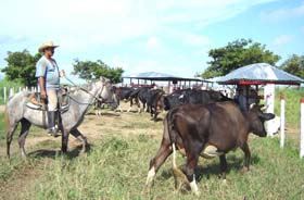 Foto: Jorge Luis T�llez