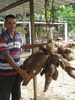 Foto del autor 
