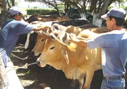 Fotos: Jorge Luis T�llez
