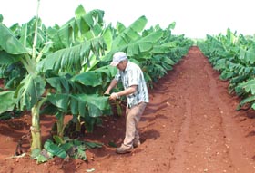 Foto: Ismael Batista