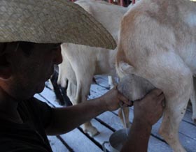 Foto: Juan Carlos Dorado (AIN)