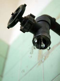 Foto: Otmaro Rodr�guez