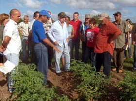 Durante su recorrido, Machado convers� con varios obreros agr�colas. Foto: AIN