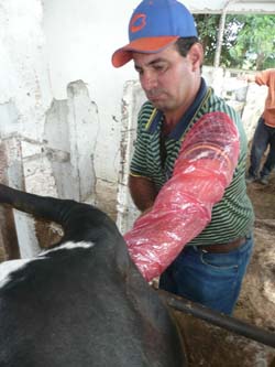  Fotos del autor