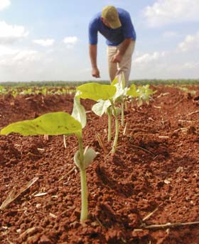fotos: Otmaro Rodrguez
