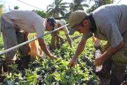 Fotos: Otmaro Rodríguez