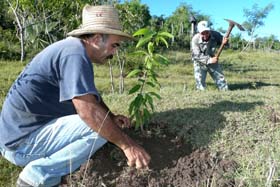 Foto: Germ�n Veloz