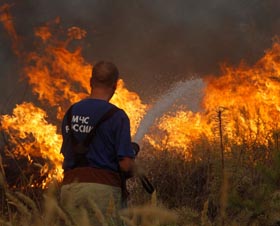 Los voraces incendios forestales quemaron m�s de un mill�n de hect�reas de bosques en Rusia.