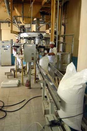 Foto: Ra�l L�pez