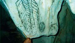 Fotos: Silvia Diguez y cortesa del entrevistado