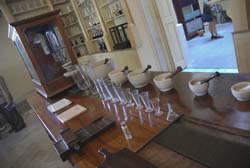 Foto: Otmaro Rodrguez 