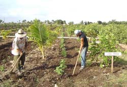 Foto: Jorge Luis Tllez 