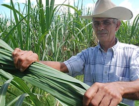 Foto: Otmaro Rodr�guez