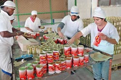 Fotos: Jorge Luis Gonz�lez