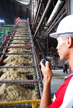 Foto: Otmaro Rodrguez