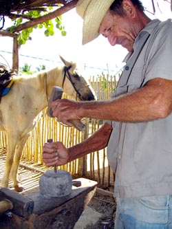 Foto del autor