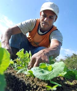 Foto: Otmaro Rodr�guez