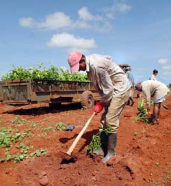 Foto: Jorge Luis Gonz�lez