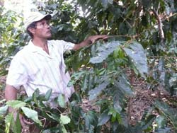 Foto: F�lix A. L�pez