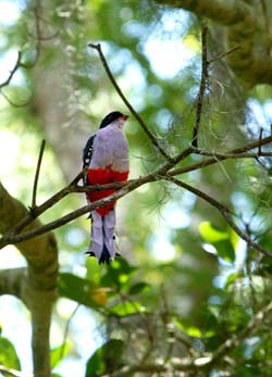 Foto: Alberto Borrego