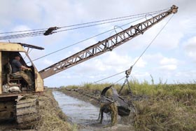 Foto: Nohema D�az Mu�oz