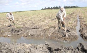 Foto: Nohema D�az Mu�oz