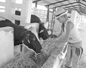 Foto: Otmaro Rodrguez