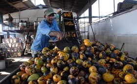 Foto: Miguel Rubiera (AIN) 