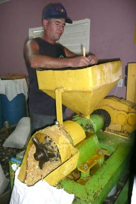 Fotos del autor